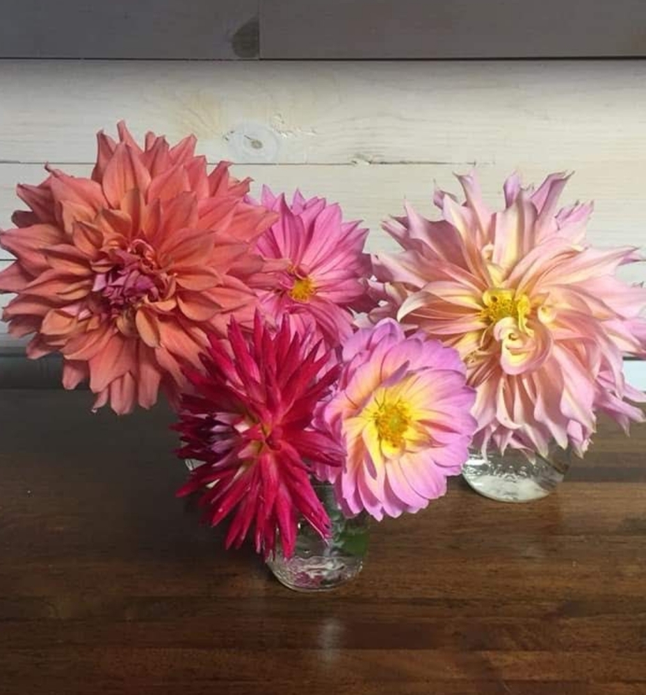 Bundle 2 items Or More 20 % off